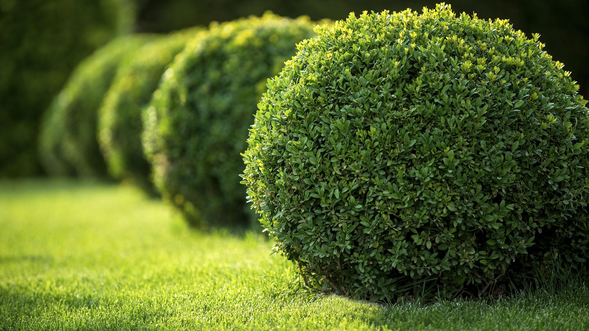 New Beginning Landscape & Remodel LLC Landscaping Company, Lawn Care Services and Landscaping Services slide 1